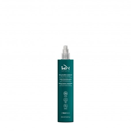 ING V spray lamellare istantaneo 250ml
