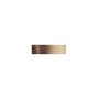 Extension Capelli Effetto Shatush 55 60 Cm 14/101