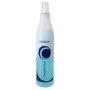 Ristructa Combination Spray Istantaneo No Risciacquo Professionale Capelli 250Ml