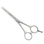 Tondeo - Century Forbici Per Capelli Classic C-Line 5,5