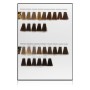 L'Oreal Professionnel Inoa Colorazione Capelli 60ml